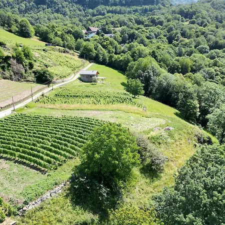 Maisonnette Des Vignes Holiday home *